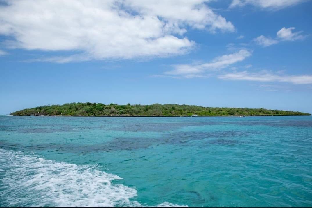 Ile aux Aigrettes island view from speedboat in Mauritius